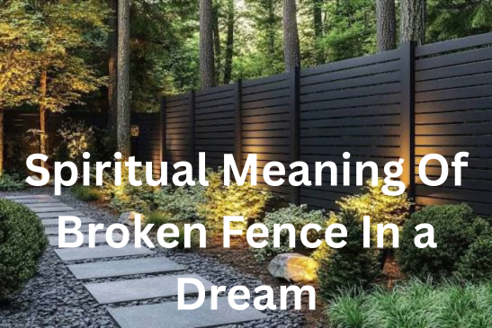 Spiritual Meaning Of Broken Fence In a Dream