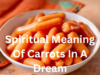 Spiritual Meaning Of Carrots In A Dream