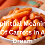 Spiritual Meaning Of Carrots In A Dream